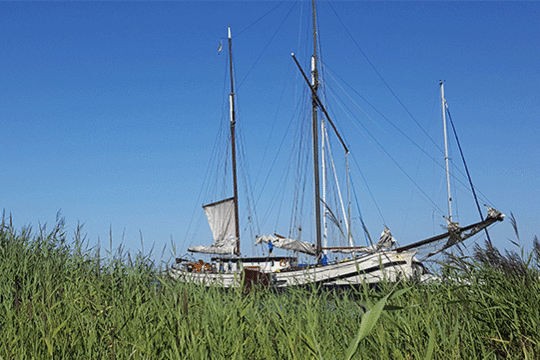 Zeilschip Schuttevaer, excursie Marker Wadden Fogol