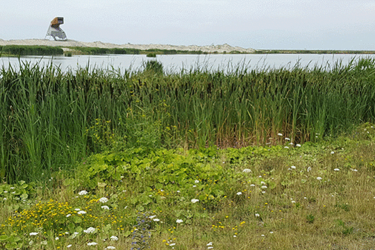 kijkhut steltloper, excursie Marker Wadden Fogol