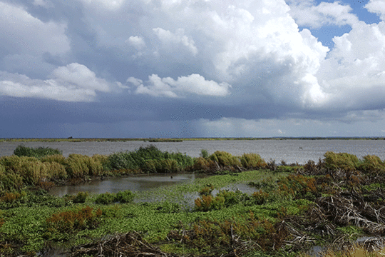 excursie Marker Wadden Fogol