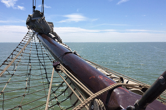 Schuttevaer, excursie Marker Wadden Fogol