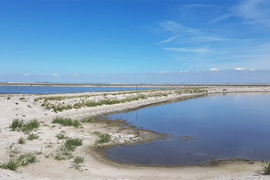 De eerste contouren van het eiland Marker Wadden