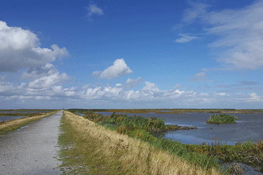 Excursie Marker Wadden Fogol