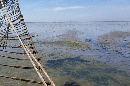 droogvallen, excursie Fogol Marker Wadden