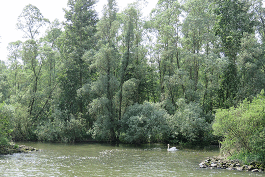 Excursie Fogol IJsselmonding