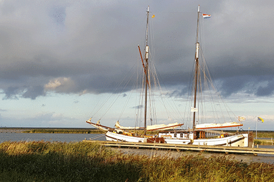 Schuttevaer, excursie Marker Wadden Fogol