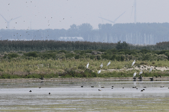 excursie Marker Wadden Fogol