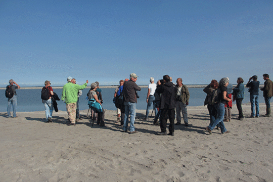 Ontwerp Marker Wadden