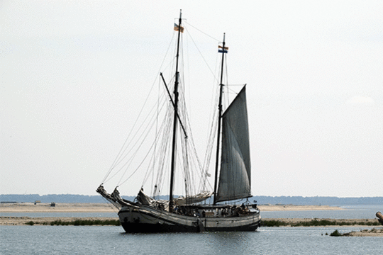 Zeilschip Schuttevaer, excursie Marker Wadden