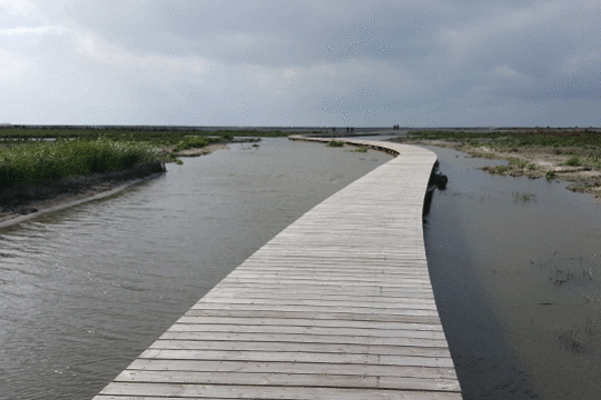 Vlonderpad Marker Wadden