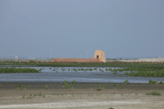 Landschap Marker Wadden, foto Jacky Visser