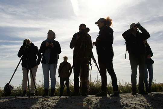 Excursie Marker Wadden Fogol