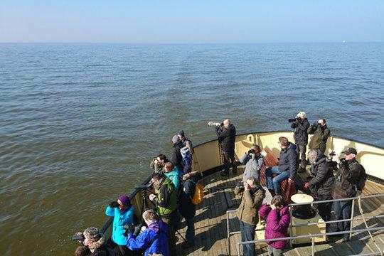 Onderweg naar Marker Wadden Fogol, Foto Miranda Zutt