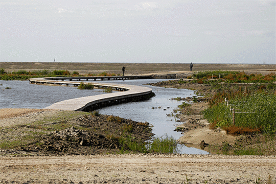 Flonderpad, boardwalk, excursie Marker Wadden, Foto Harvey van Diek