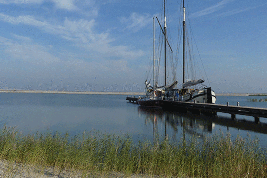 Zeilschip Schuttevaer excursie Marker Wadden, Foto Miranda Zutt