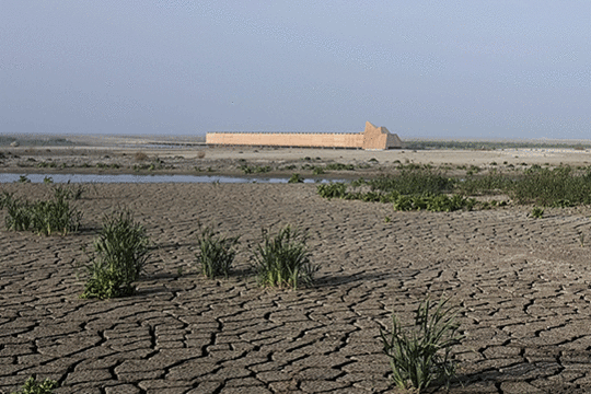 Kijkhut duikeend, excursie Marker Wadden, Fogol