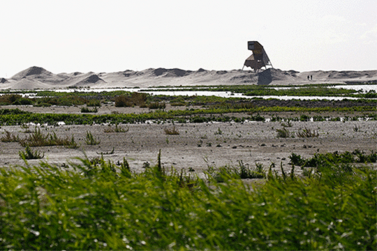 Kijkhut de steltloper op Marker Wadden