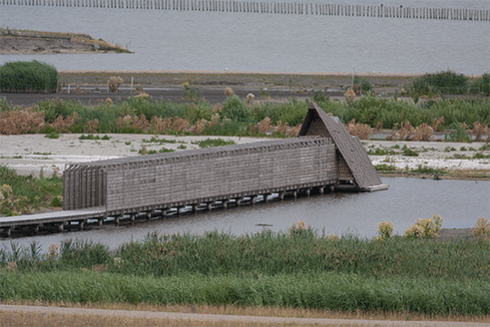 kijkhut Duikeend, excursie Marker Wadden Fogol