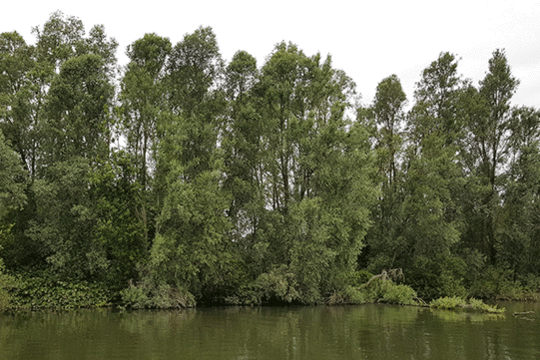 Landschap IJsseloog, excursie IJsselmonding