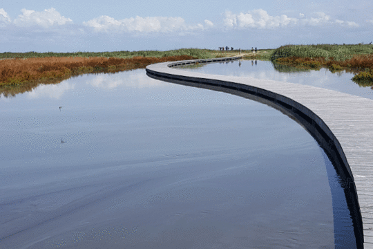 Wandelpad, excursie Marker Wadden met Fogol