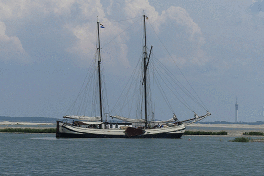 Zeilschip Schuttevaer, excursie Marker Wadden Fogol