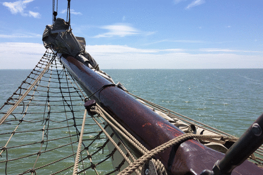 Schuttevaer, excursie Marker Wadden Fogol