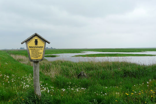 Duits uitgestrekt landschap