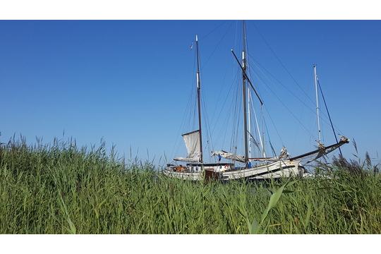 Schuttevaer, excursie Marker Wadden Fogol