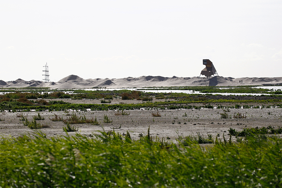 Landschap Marker Wadden