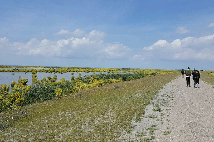 Landschap in mei