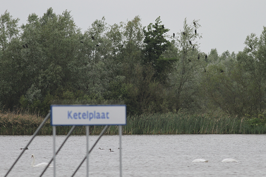 Ketelplaat