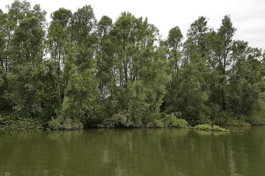 Vaargeul IJsseloog