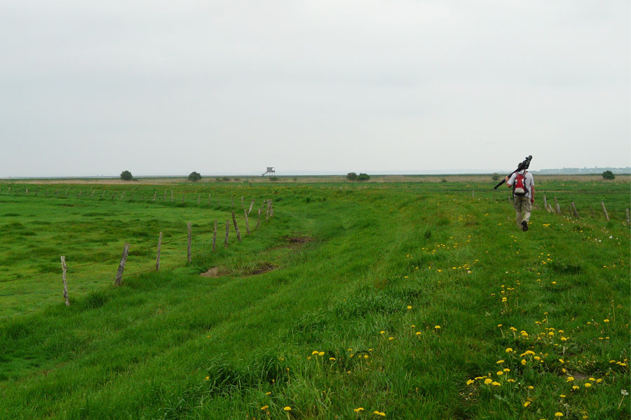 Opweg naar de vogelhut