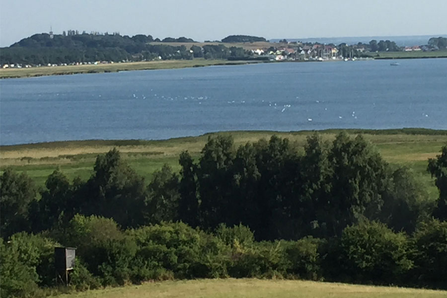 Blik op Thiessow met Südpferd