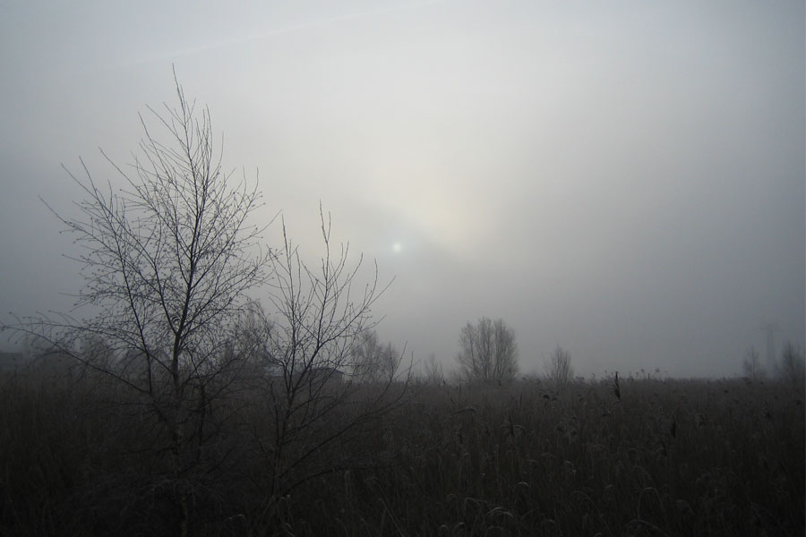 Mistig moor vol verrassingen