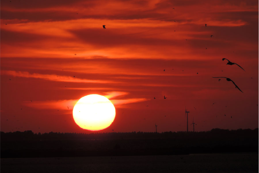 Zon onder, foto Paul Bohre