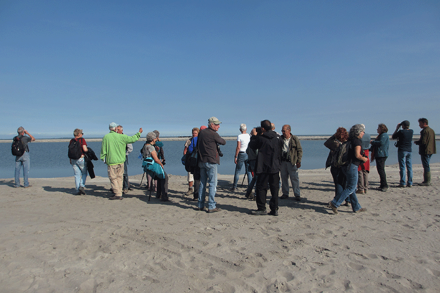 Rondleiding op het eiland