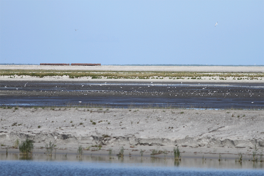 Landschap Marker Wadden