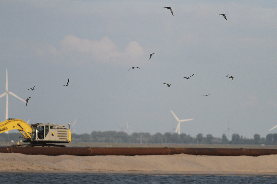 Zwarte sterns en de bouw van het eiland