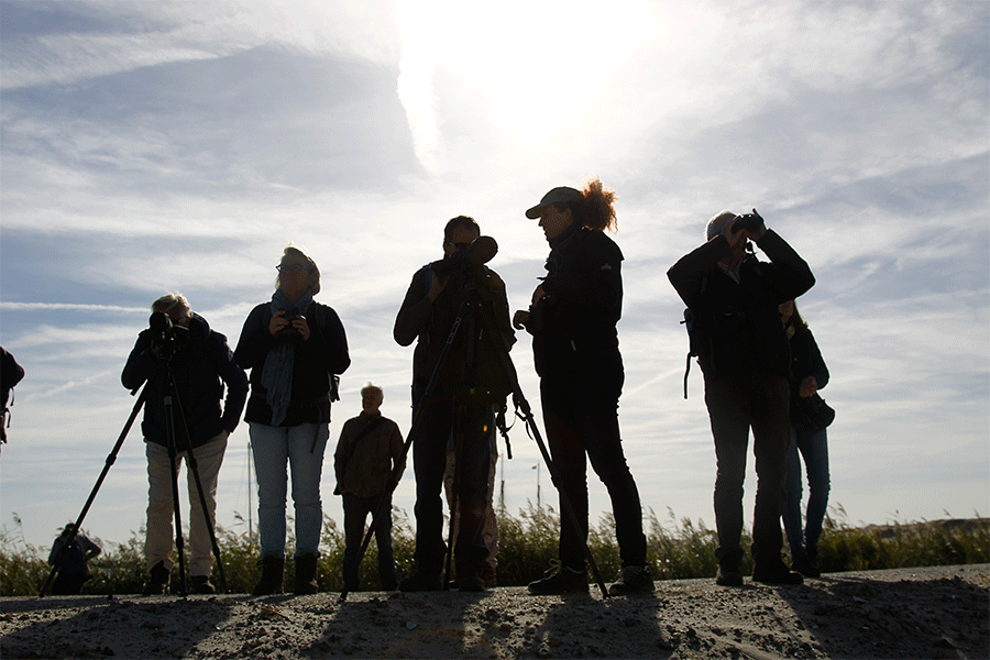 Excursie deelnemers, foto Harvey van Diek
