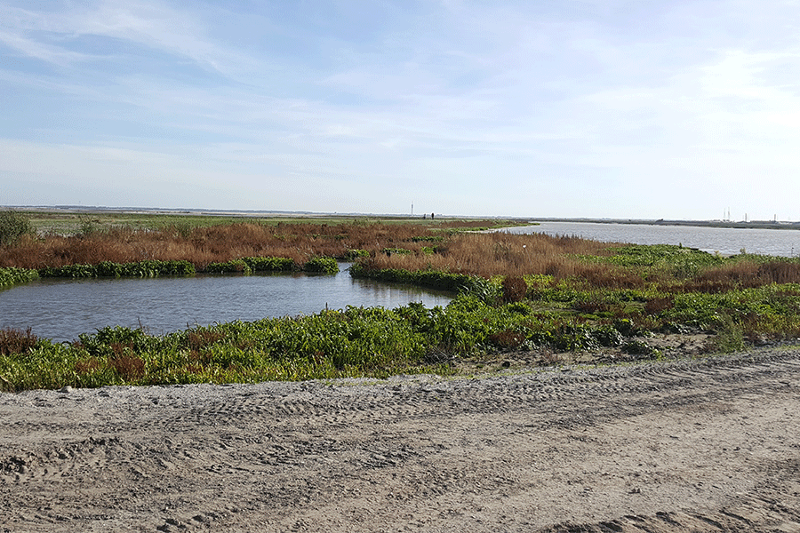 Landschap Marker Wadden