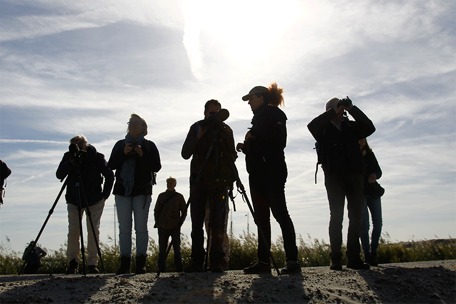 Excursie Marker Wadden, foto Harvey van Diek