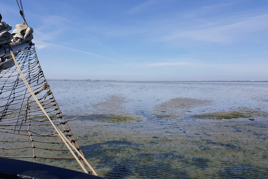 Met de kop op de plaat