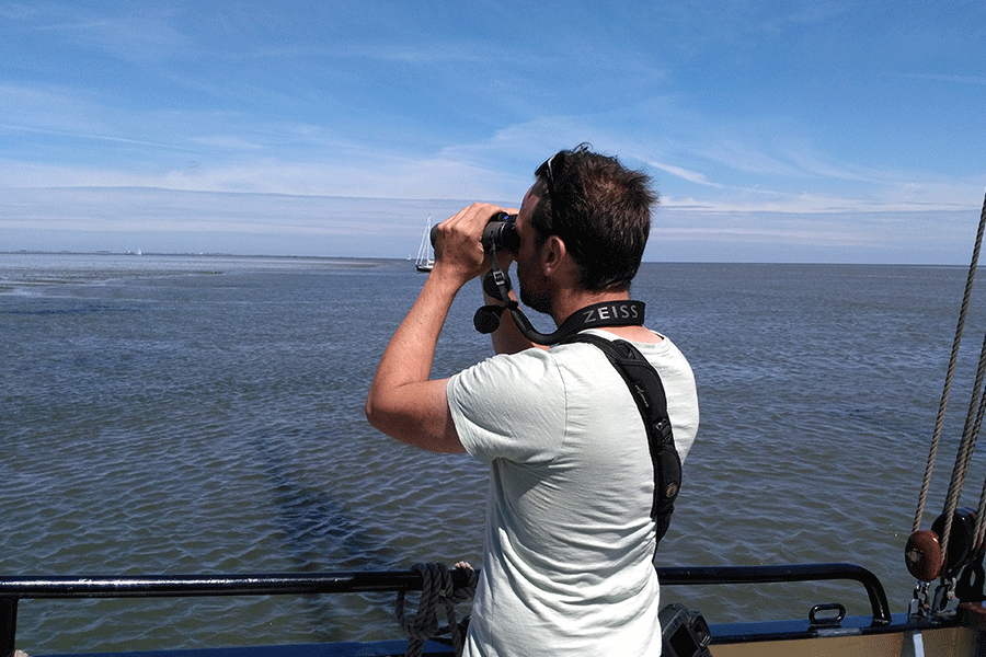 Vogelen op het wad, foto Jasmijn Hulleman