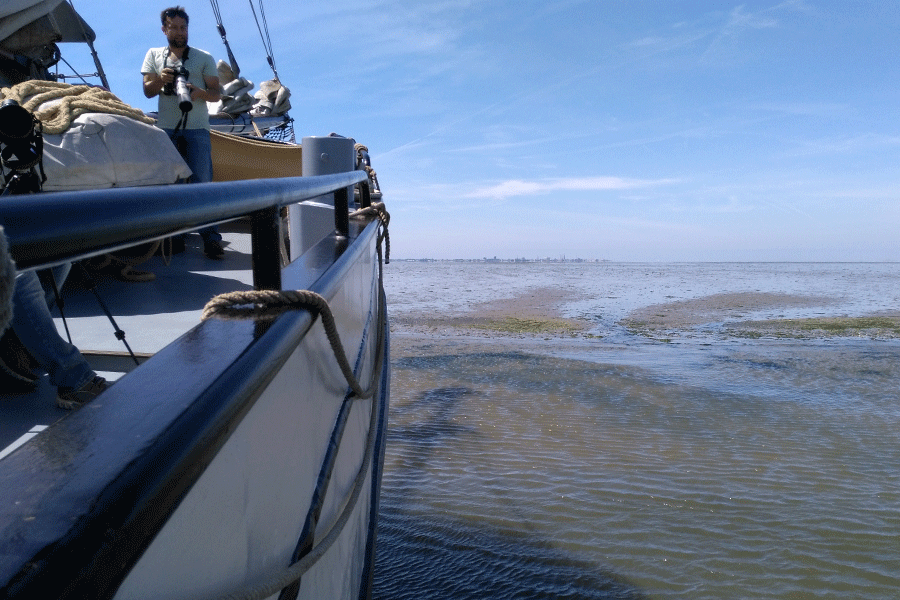 Met de kop op de plaat, foto Jasmijn Hulleman